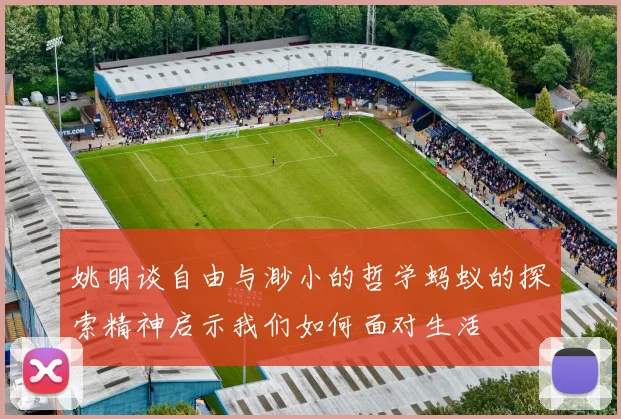 姚明谈自由与渺小的哲学蚂蚁的探索精神启示我们如何面对生活