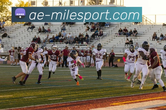 米乐足球服务体系